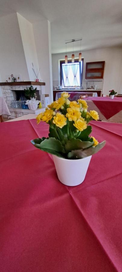 B & B Le Tre Rose Tollo Esterno foto