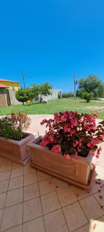 B & B Le Tre Rose Tollo Esterno foto