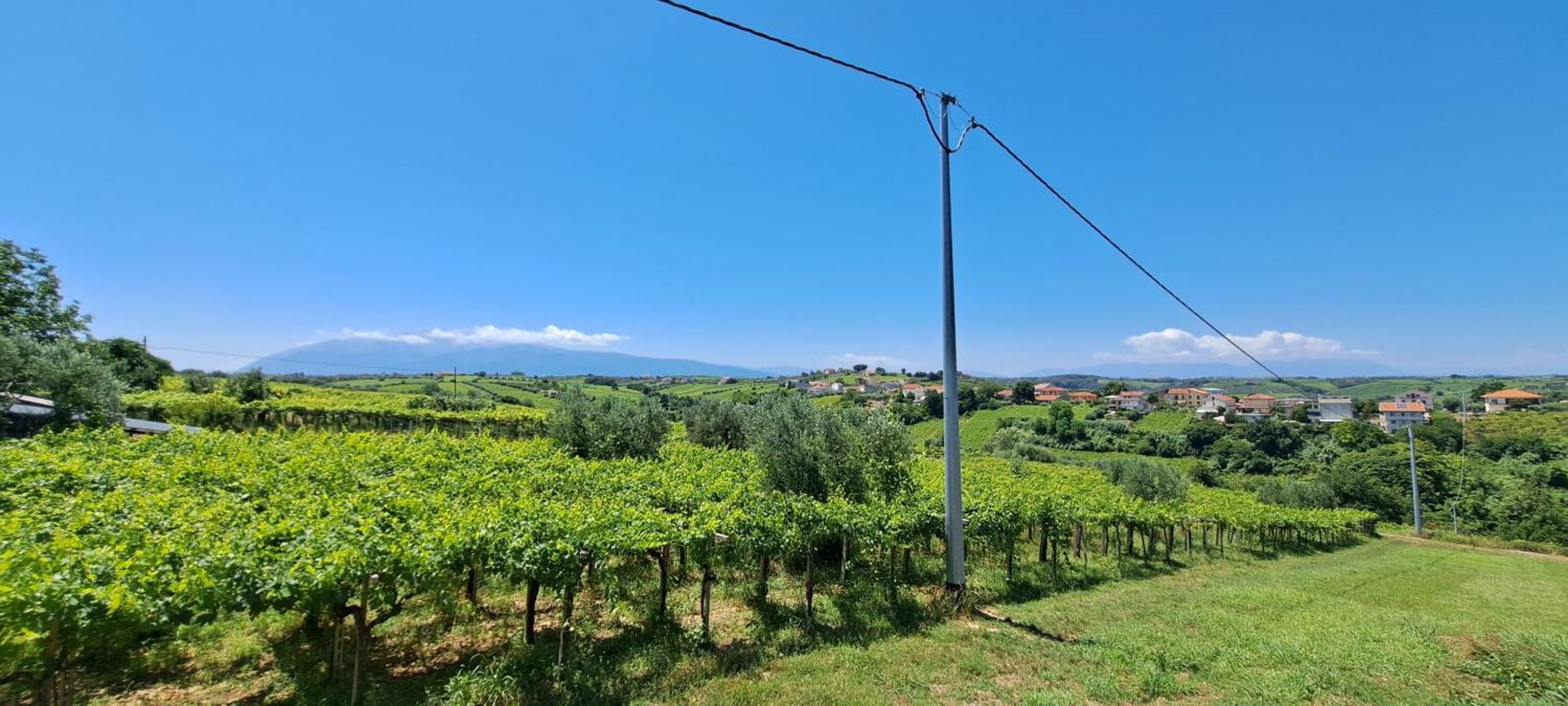 B & B Le Tre Rose Tollo Esterno foto